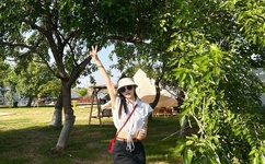 忘忧草影音资源最新资源